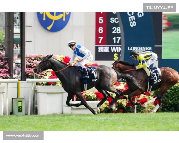 赛事盘点全部赛事